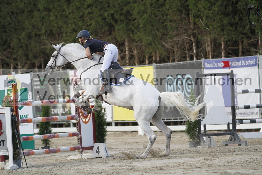 _MG_6605 | equestrian-live-com