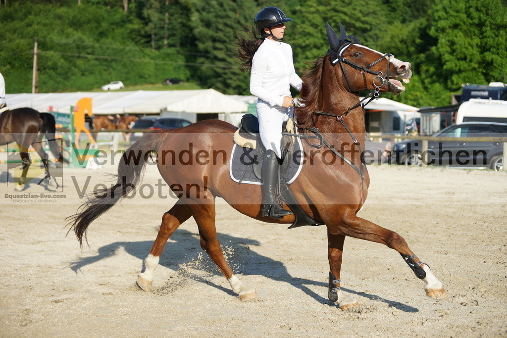 DSC09705 | equestrian-live-com