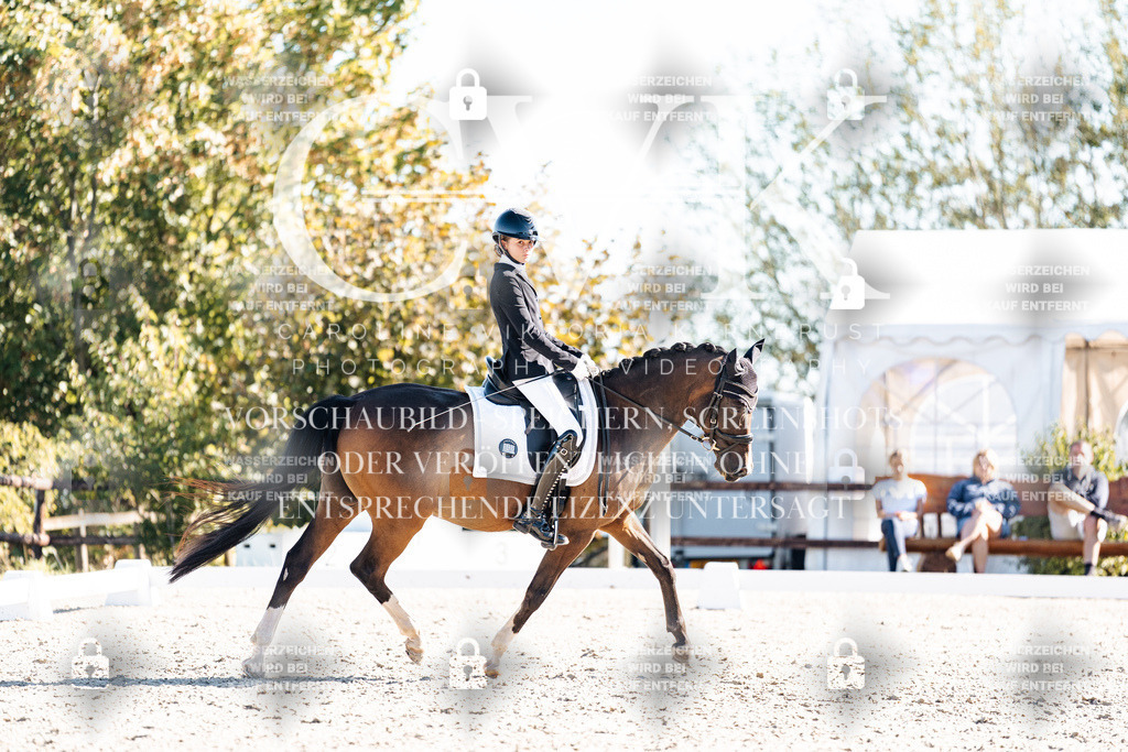 CK908531 | Turnierfotografie Pferdefotografie Trier Rheinland-Pfalz Pferdesport Reitsport Tierfotografie Sportfotografie Pferdevideo Pferdevideografie Equestrianvideography equestrianphotography  - Realisiert mit Pictrs.com