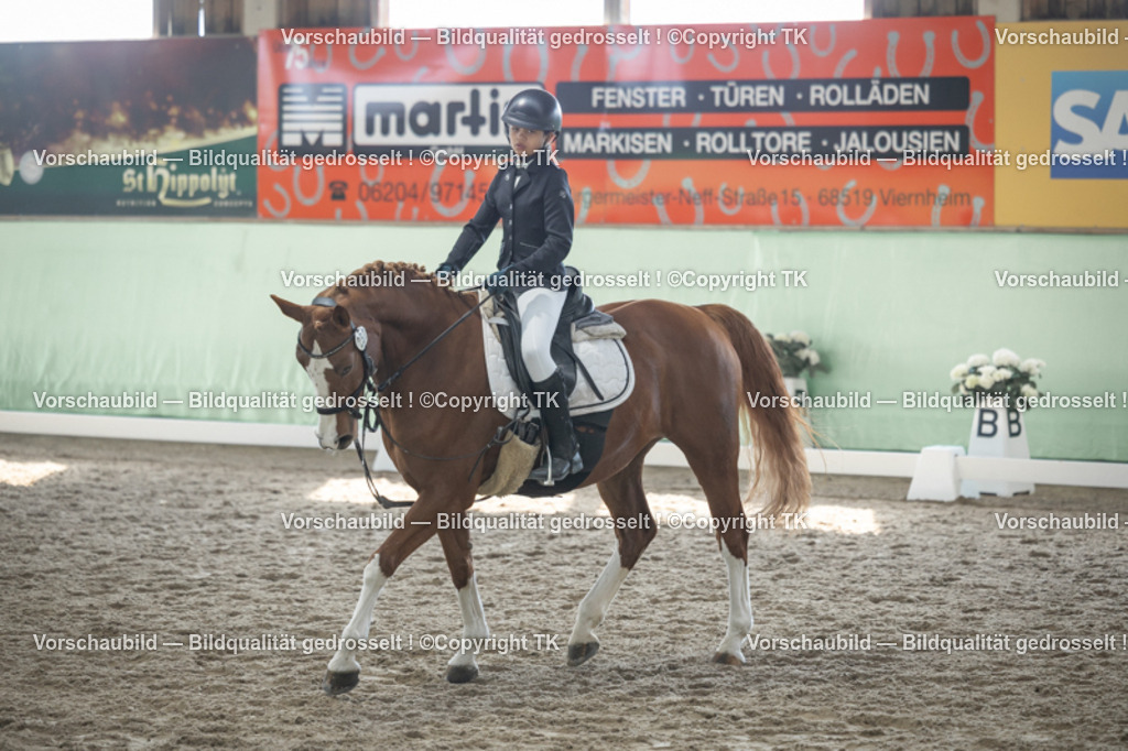 _D5A8829 | Emotionale Pferde- & People-Fotografie rund um Heidelberg, Leimen & Umgebung. Natürliche Fotos von Pferd, Mensch & Familie. Jetzt Termin sichern!