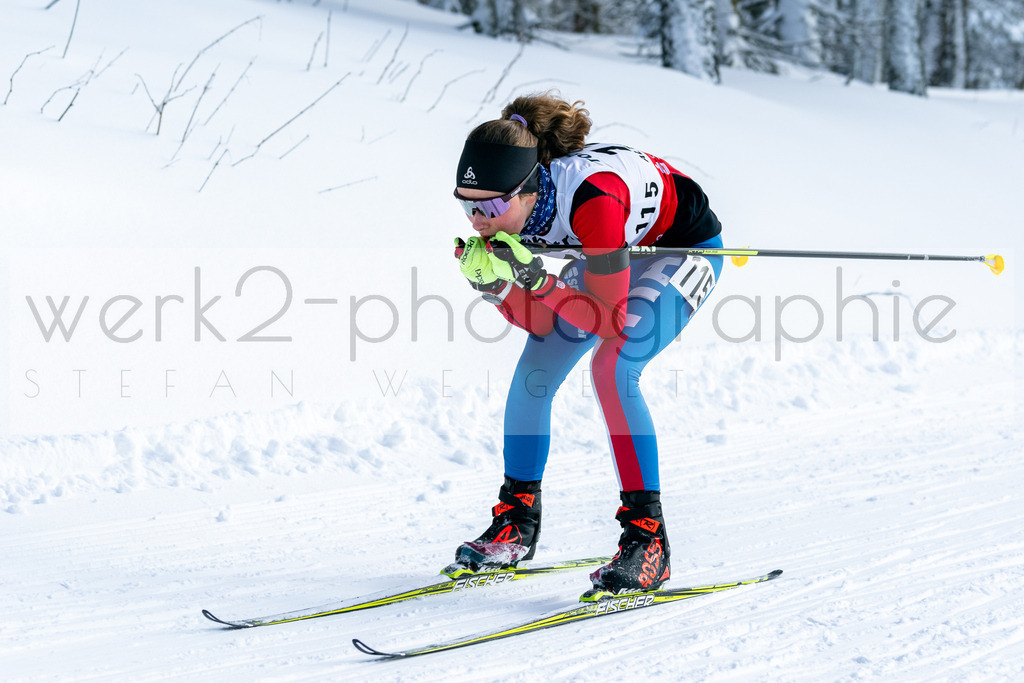 DSC Altenberg | Deutscher Schülercup in Altenberg vom 11. bis zum 13. Februar 2022