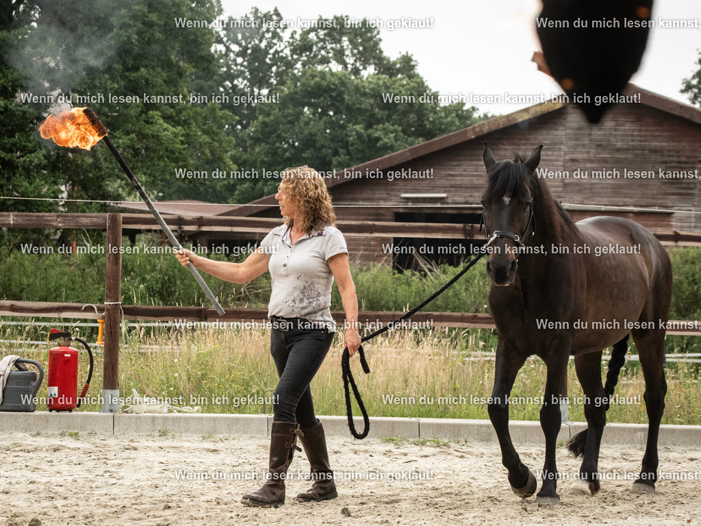 598A7218 | photographylinaismer - Realisiert mit Pictrs.com