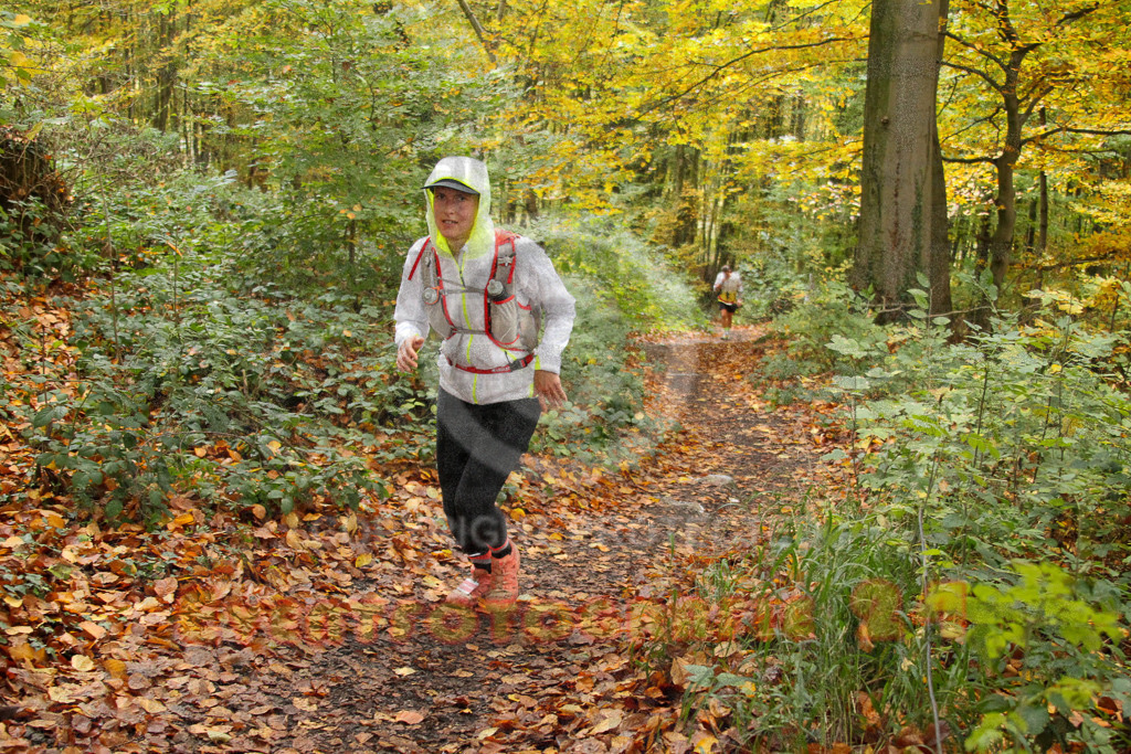251026_1320_EV4_6801 | Sportfotografie im Rhein-Sieg Kreis, Köln, Bonn, NRW, Rheinland Pfalz, Hessen, etc. Unser Tätigkeitsfeld umfasst den Laufsport vom Volkslauf über den Marathon, Duathlon, Triathon bis zum Ultralauf wie Kölnpfad Ultra oder Schindertrail.