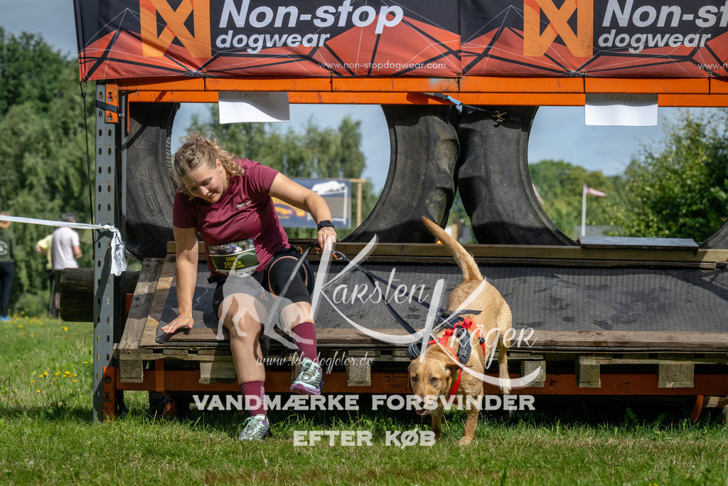 1131_ZZ92365 | kk-dogfotos