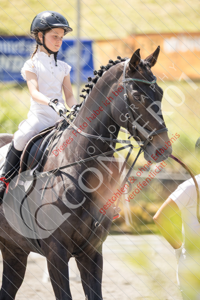 IMG_3456 | Sport-, Event- und Tierfotos in Profiqualität. Einfach auswählen, bestellen und herunterladen. Dein Moment – perfekt festgehalten.