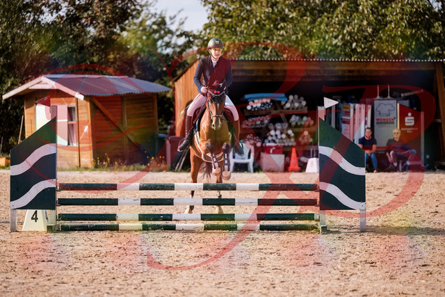 2026_10_03_Siefer-Hof_155340_Z81_73291395 | Professionelle Reitsport-, Turnier- und Eventfotografie von Robert Broda. Galerien mit ausgewählten und bearbeiteten Bildern direkt online ansehen und bestellen.