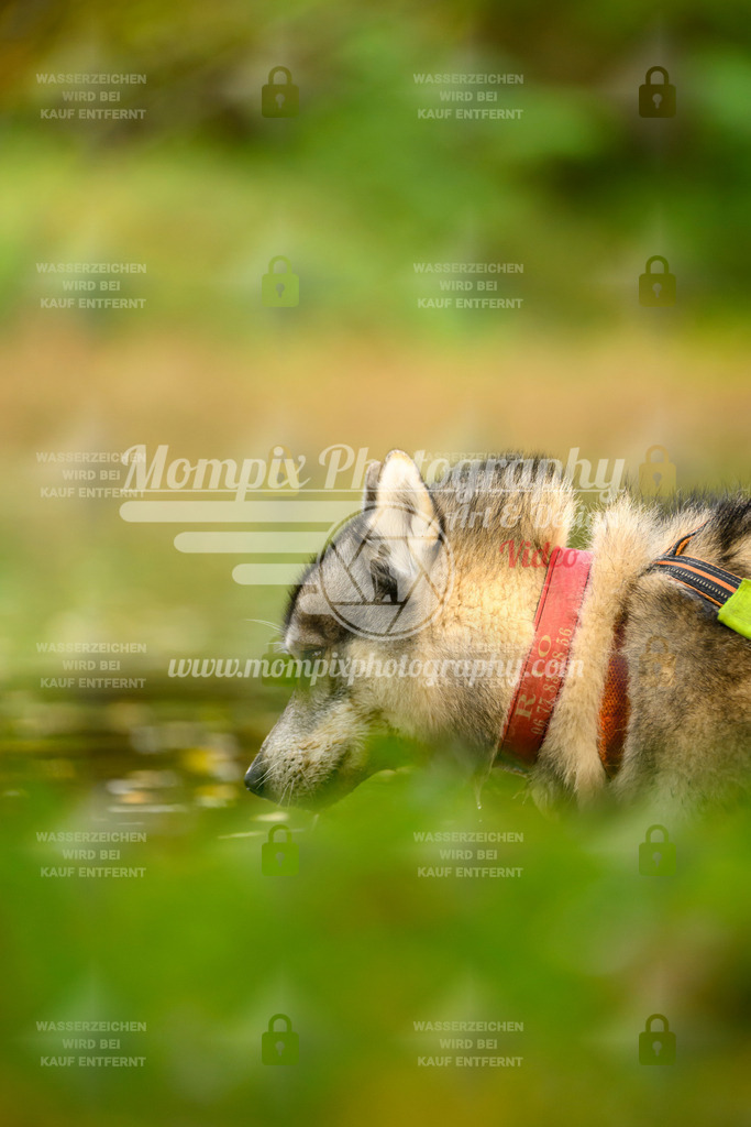 MompixPhotography_20TSB_E1_Bike-2 | PayLife