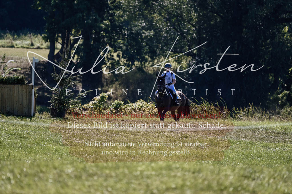 DSC_1485 | Pferde- und Turnierfotografie in Westsachsen. Pferdeportraits, Auftragszeichnungen und intuitive Kunst.