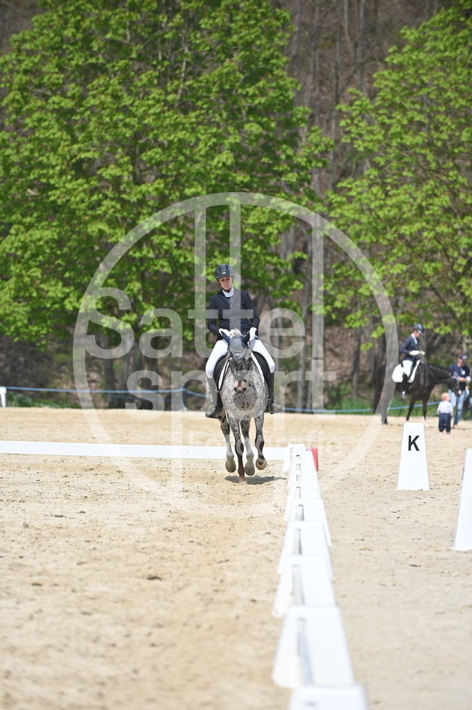 DSC_2299 | sattelsport - Realisiert mit Pictrs.com