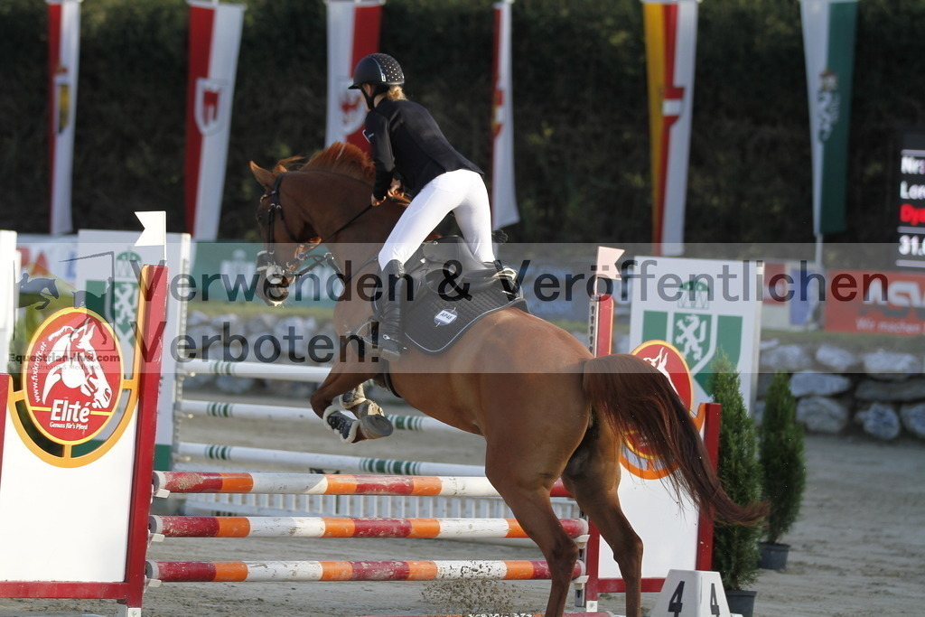_MG_3326 | equestrian-live-com