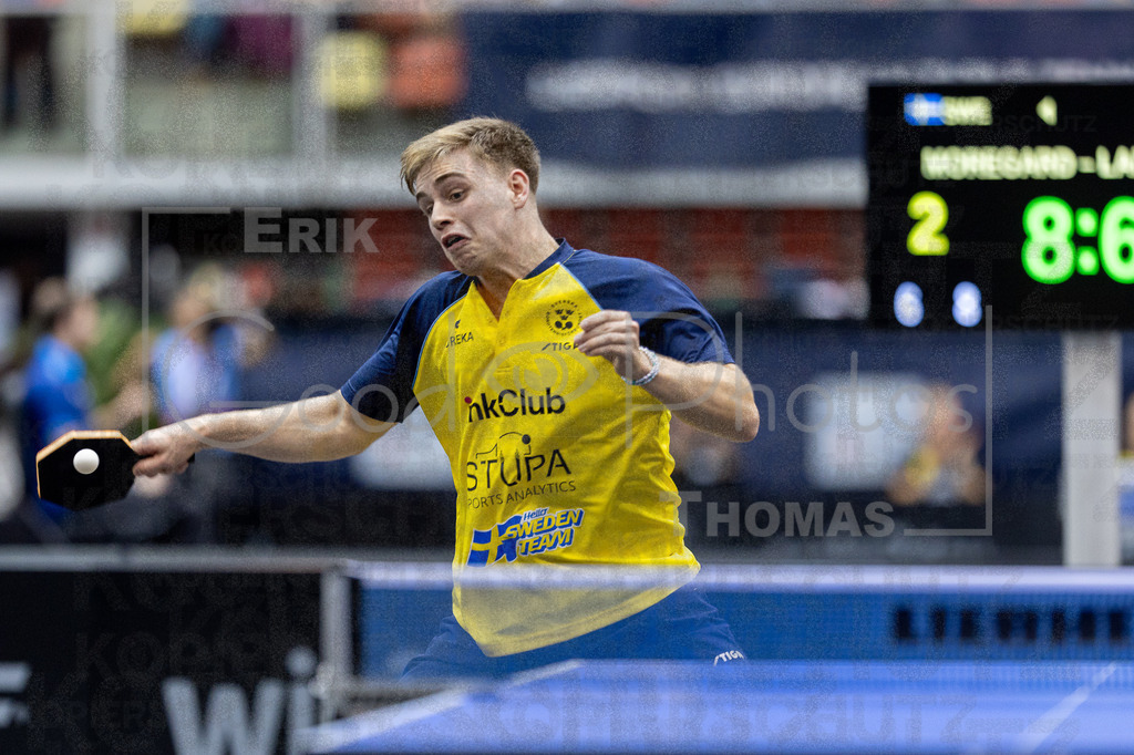 European_Championships_2024-10-17_190 | good-photos - Realisiert mit Pictrs.com