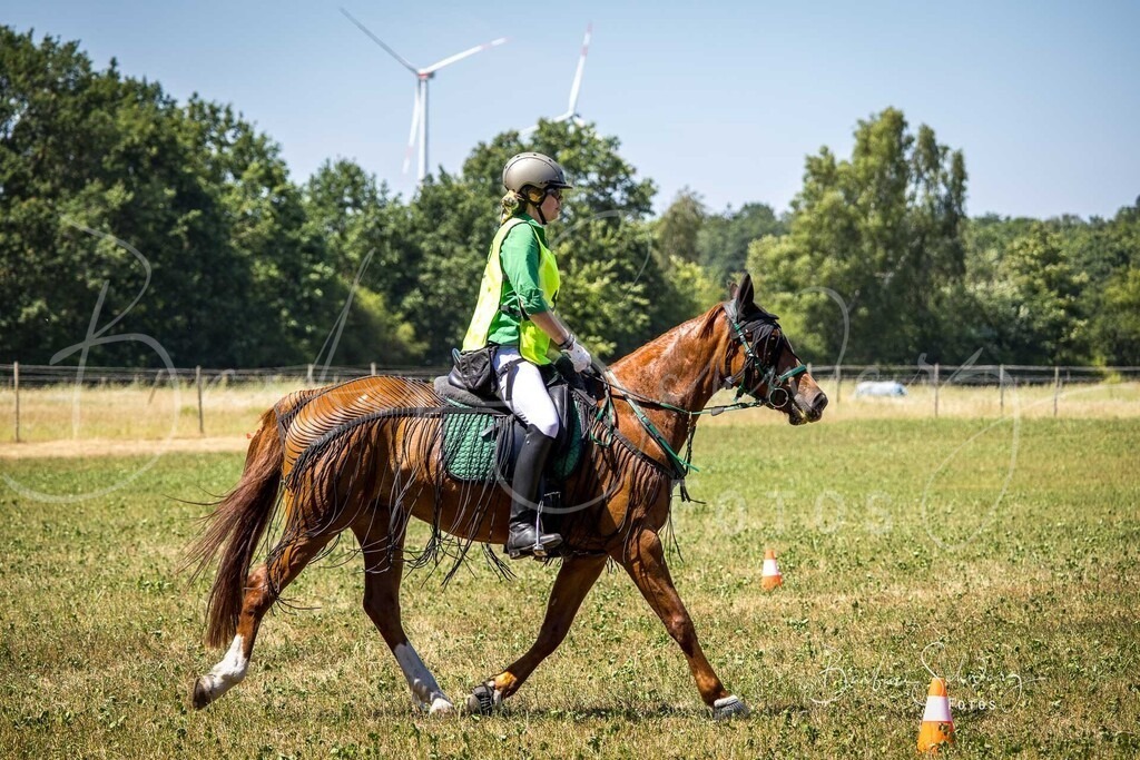 CJP_2026-06-26_08 | Stimmungsvolle Fotografie von Pferden, fotografische Begleitung von Veranstaltungen, Golfturnieren und Distanzritten - Realisiert mit Pictrs.com