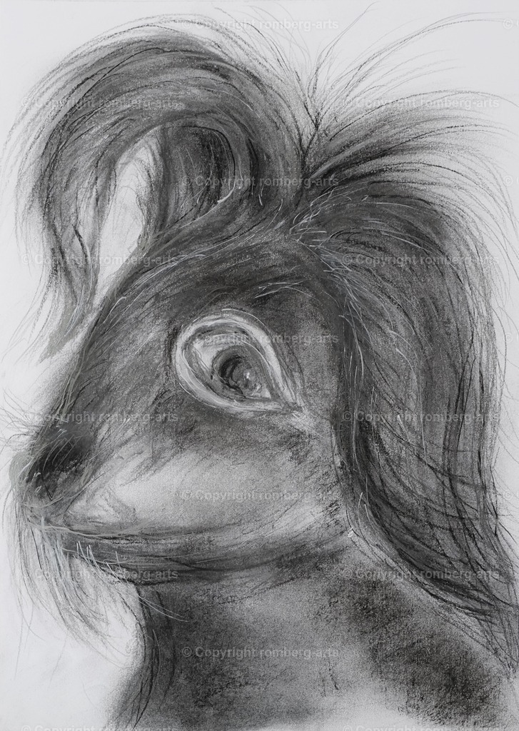 L1020487 (2) | romberg-arts, romberg-arts.de, www.romberg-arts.de, Foto_Online_Shop, Julia Fuhrmann, Köln, Fotos, Fotografie, Fotokunst, Kunstdrucke, Naturfotos, Aktfotos, Nacktfotos, schwarz_weiß_Fotos, Blumenfotos, Blumen, Tiere, Beton, Korrosion, Lächeln, Drucke