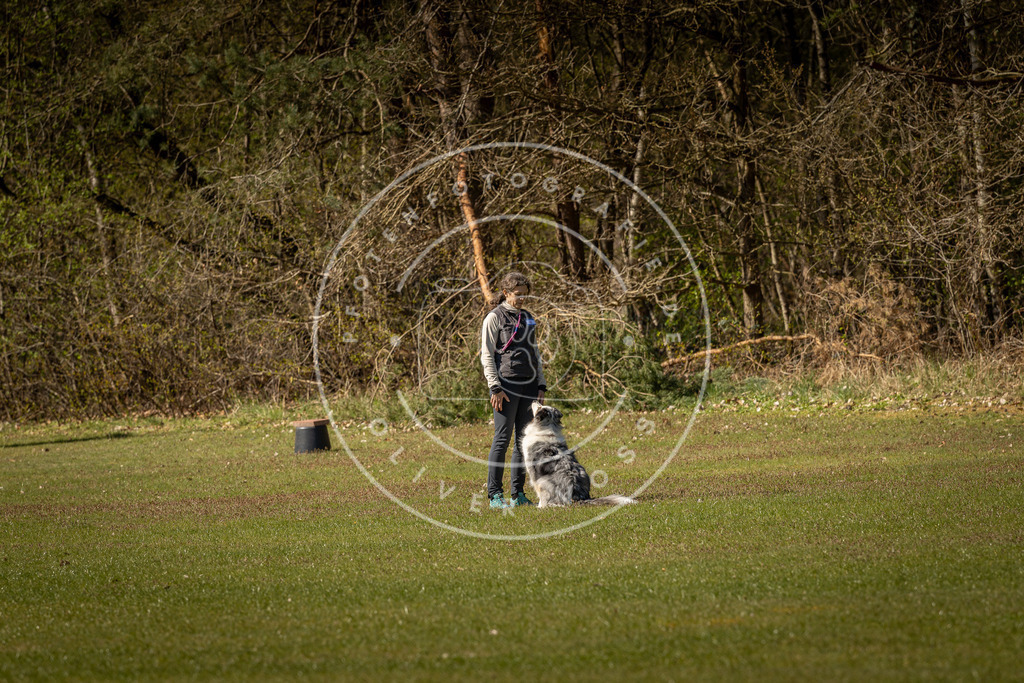 Pfotenfotografie_DV3A0513 | Hundefotografie, Tierfotograf, Pfotenfotografie, Fotoshooting Hund, Hunde Portrait, Hundesport, Hundeportraits, Heideshooting, Hunde, Sportfotograf, Hundefotograf, Turnierhundsport, THS,  - Realisiert mit Pictrs.com