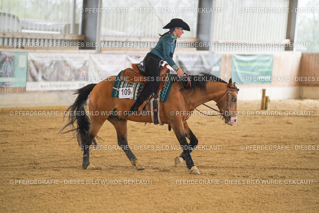 DSC09798 | Pferdegrafie