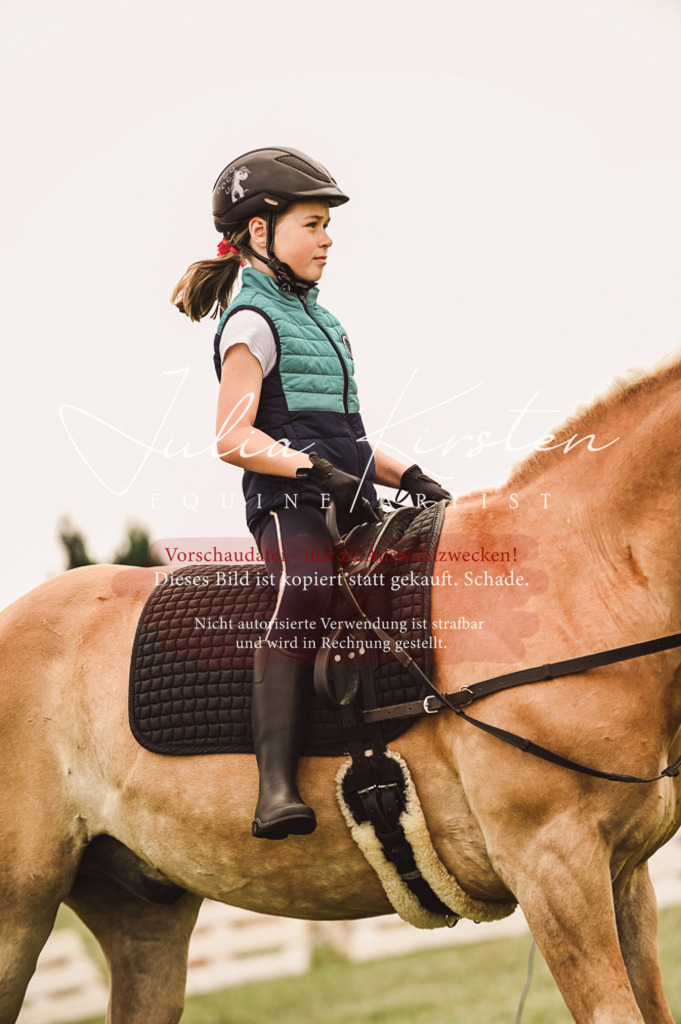 DSC_5314 | Pferde- und Turnierfotografie in Westsachsen. Pferdeportraits, Auftragszeichnungen und intuitive Kunst.