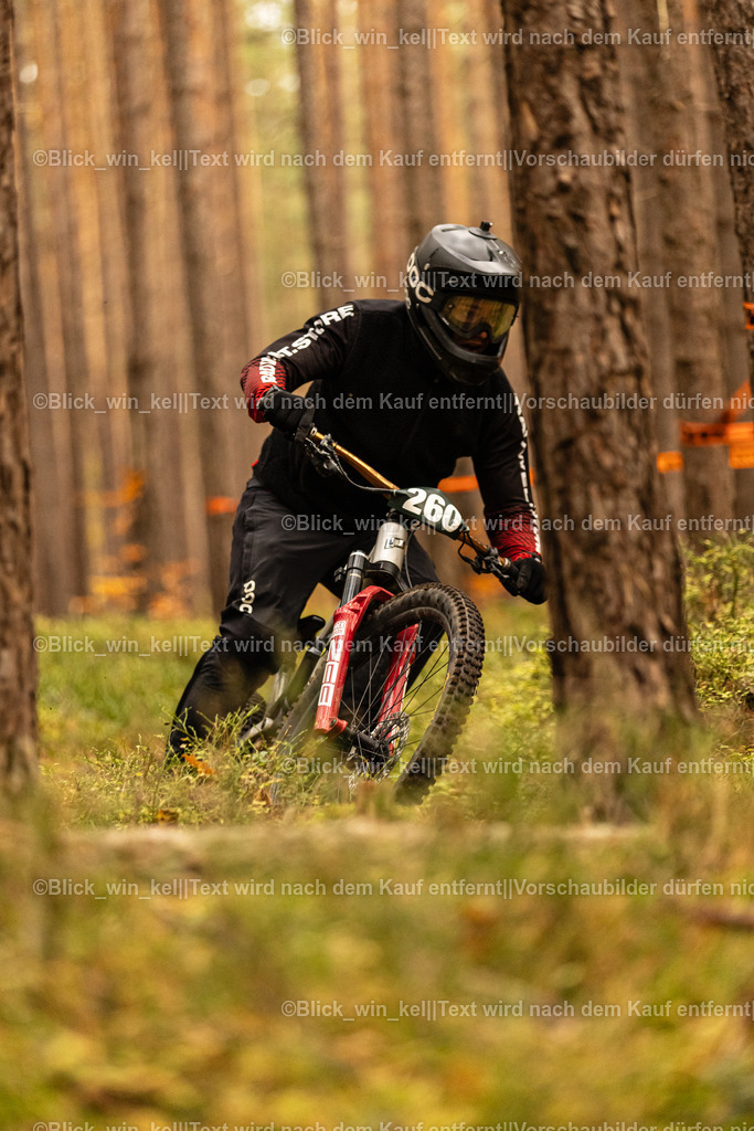 E68A3197 | blick_win_kel