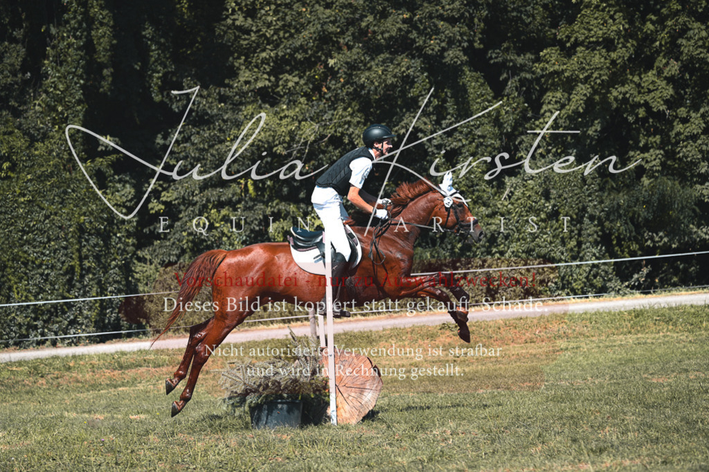 DSC_7980 | Pferde- und Turnierfotografie in Westsachsen. Pferdeportraits, Auftragszeichnungen und intuitive Kunst.