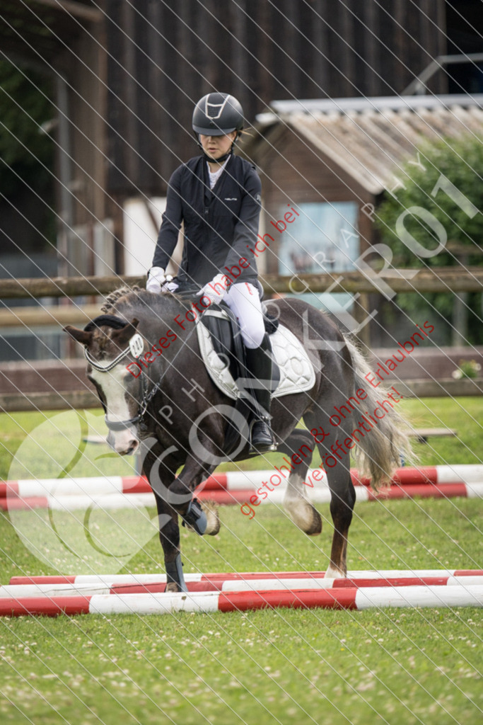 IMG_2696 | Sport-, Event- und Tierfotos in Profiqualität. Einfach auswählen, bestellen und herunterladen. Dein Moment – perfekt festgehalten.