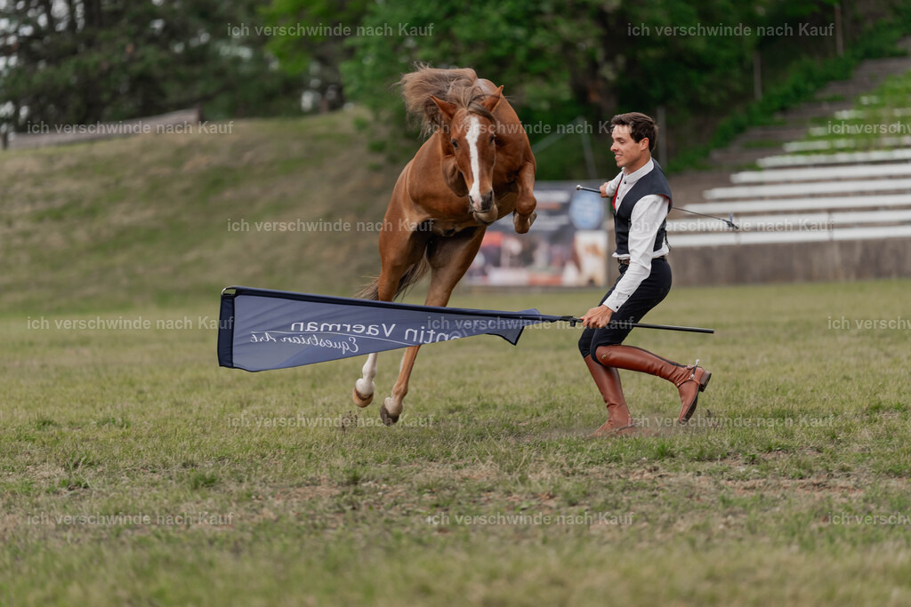 Showprogramm-427 | working equitationturnier fotograf videograf stoibphotography marixx film working equitation deutschland reitsport turnierfotografie eventfotografie equestrian events