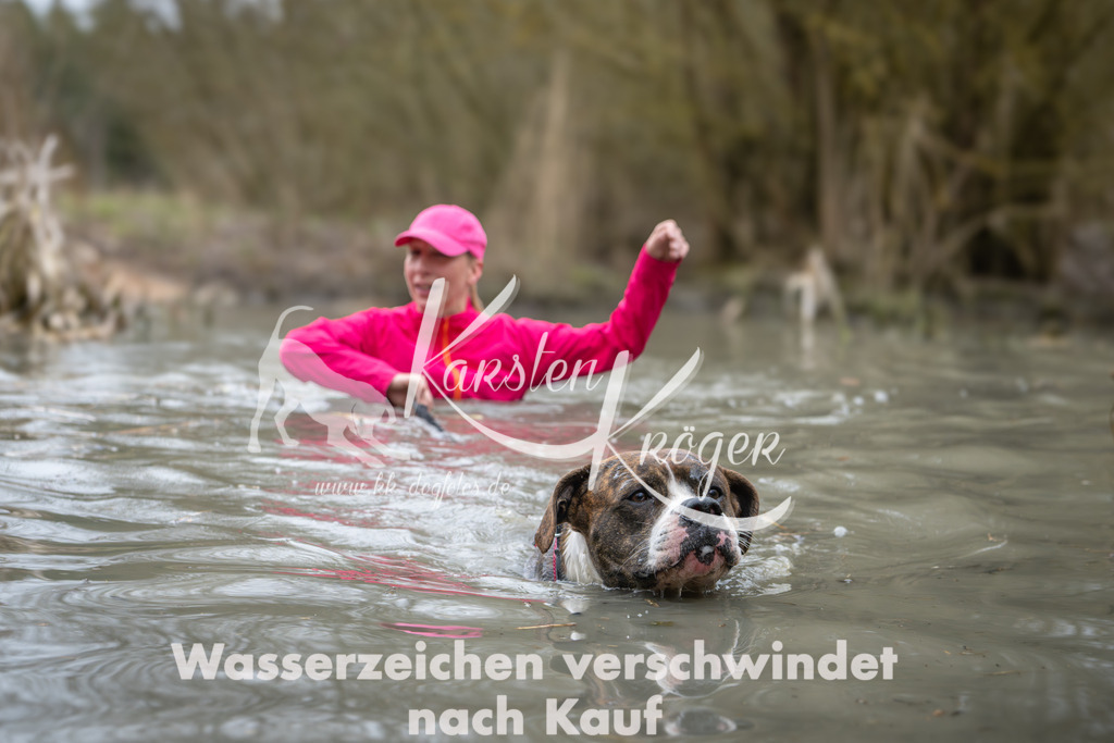 1027_ZZ99913 | kk-dogfotos