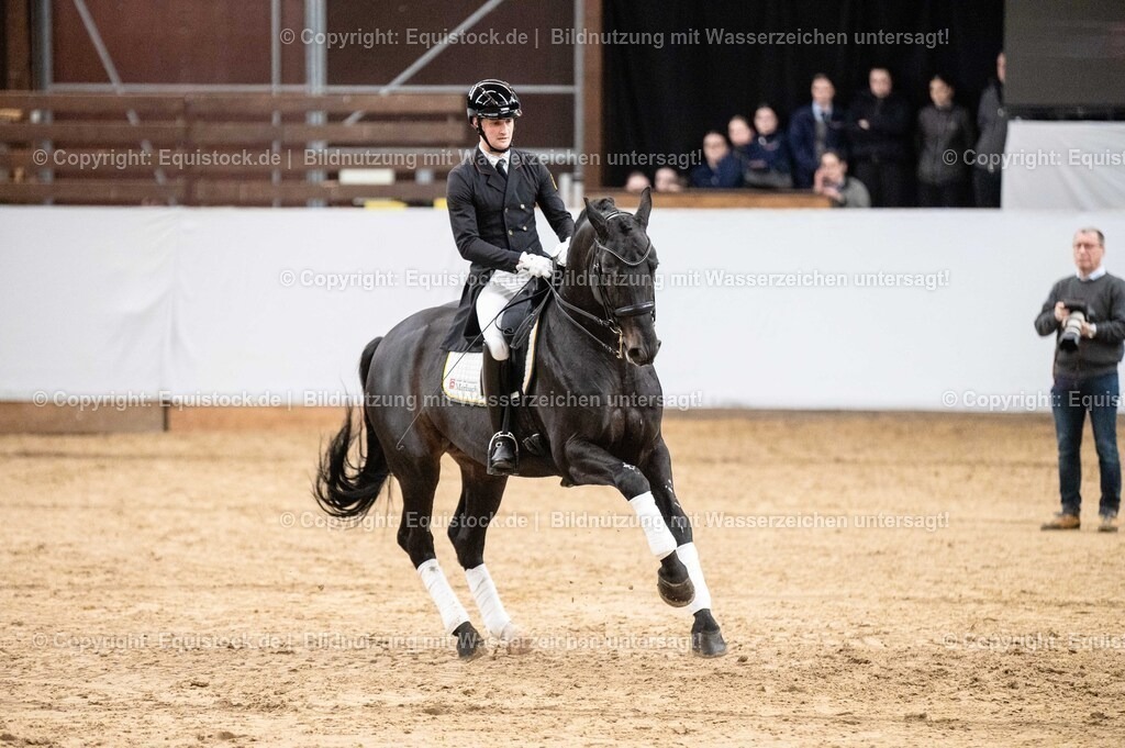 20260307_Hengstvorstellung-Marbach_0501 | equistock