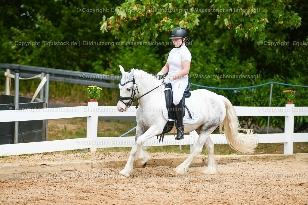 20230715_05_Dressurprüfung Kl.A++_0276 | equistock