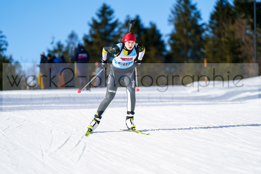 FESA Alpencup / DP Notschrei | Deutschland Pokal Finale im Schwarzwald NORDIC-CENTER Notschrei am 7. - 8. Februar 2026