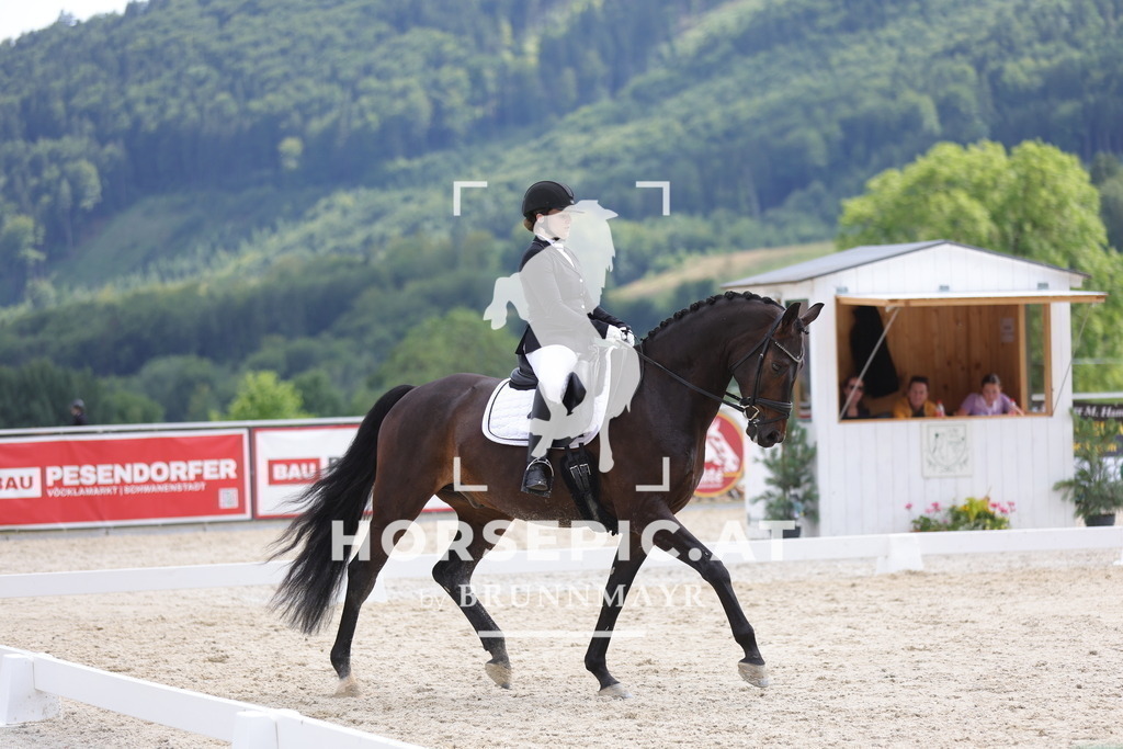 0P6A6074 | Willkommen bei Brunnmayr - Design & Fotografie – Ihrem Spezialisten für Reitturniere und Pferdeveranstaltungen in Oberösterreich, Salzburg und Bayern! Seit über 17 Jahren sind wir leidenschaftlich dabei.