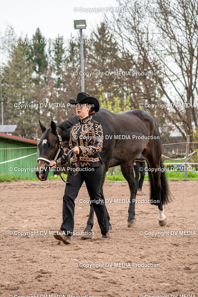 BA300125 | dv-media-shop - Realisiert mit Pictrs.com