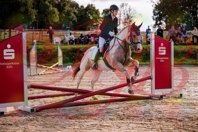 2026_10_03_Siefer-Hof_144218_Z81_14963573 | Professionelle Reitsport-, Turnier- und Eventfotografie von Robert Broda. Galerien mit ausgewählten und bearbeiteten Bildern direkt online ansehen und bestellen.
