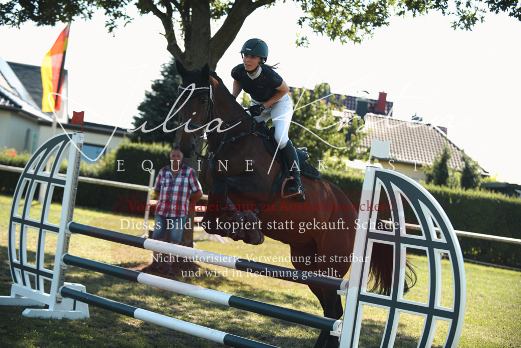 DSC_7218 | Pferde- und Turnierfotografie in Westsachsen. Pferdeportraits, Auftragszeichnungen und intuitive Kunst.