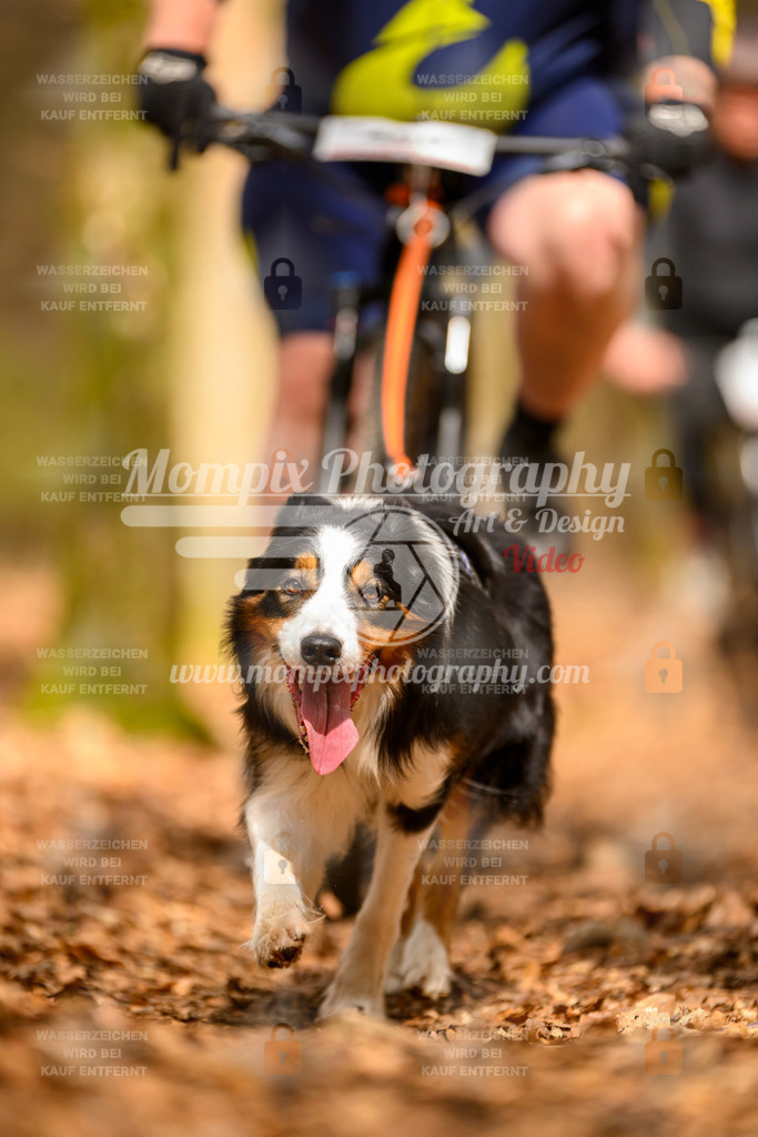 MompixPhotography_Habay2025_SA_Bike-169 | mompixphotography