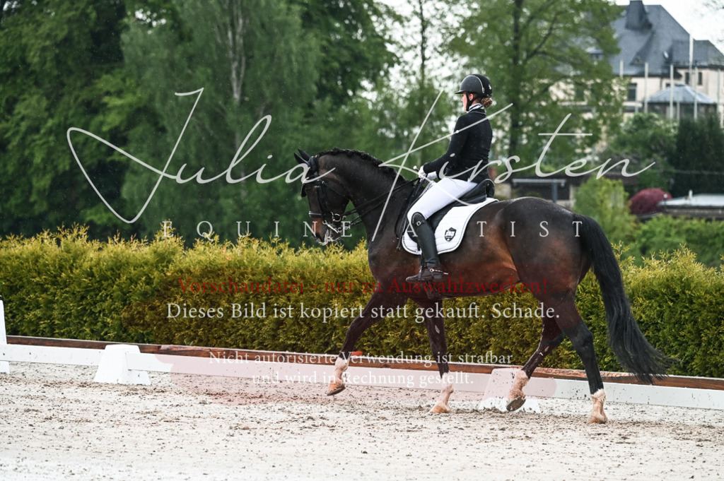 DSC_4332 | Pferde- und Turnierfotografie in Westsachsen. Pferdeportraits, Auftragszeichnungen und intuitive Kunst.