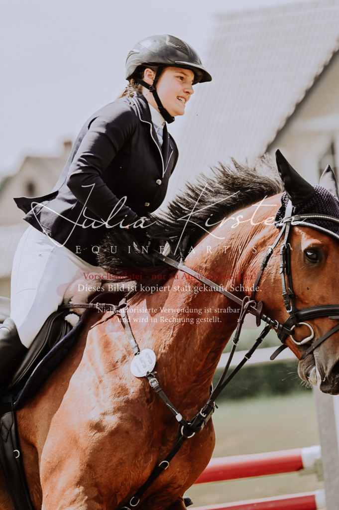 DSC_9336 | Pferde- und Turnierfotografie in Westsachsen. Pferdeportraits, Auftragszeichnungen und intuitive Kunst.