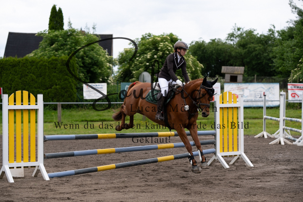 A7V03859 | Pferdefotograf