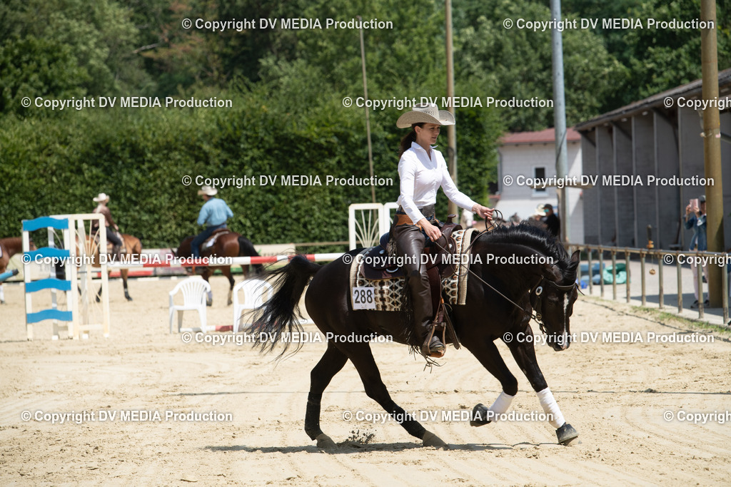 ZS3_9998 | dv-media-shop - Realisiert mit Pictrs.com