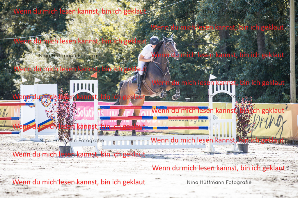 BK1A6345 | Turnierbilder Turnierfotos Nina Hüffmann Turnierfotografie Pferdefotografie Tierzeichnung Haustierzeichnung Pferdezeichnung Hundezeichnung Videograf  - Realisiert mit Pictrs.com