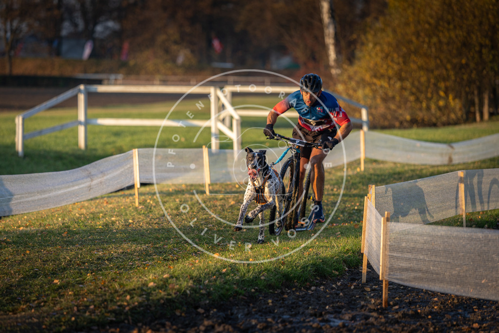 CaniXpix_DV3A9391 | Hundefotografie, Tierfotograf, Pfotenfotografie, Fotoshooting Hund, Hunde Portrait, Hundesport, Hundeportraits, Heideshooting, Hunde, Sportfotograf, Hundefotograf, Turnierhundsport, THS,  - Realisiert mit Pictrs.com