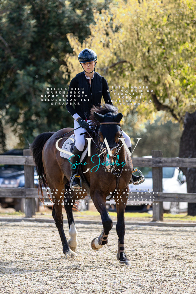 IMG_3634 | s-jay-photography - Realisiert mit Pictrs.com