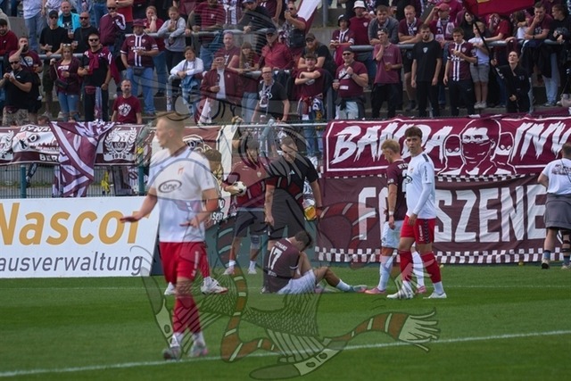 BFC Dynamo vs. ZFC Meuselwitz 172 | mythos-online-redaktion