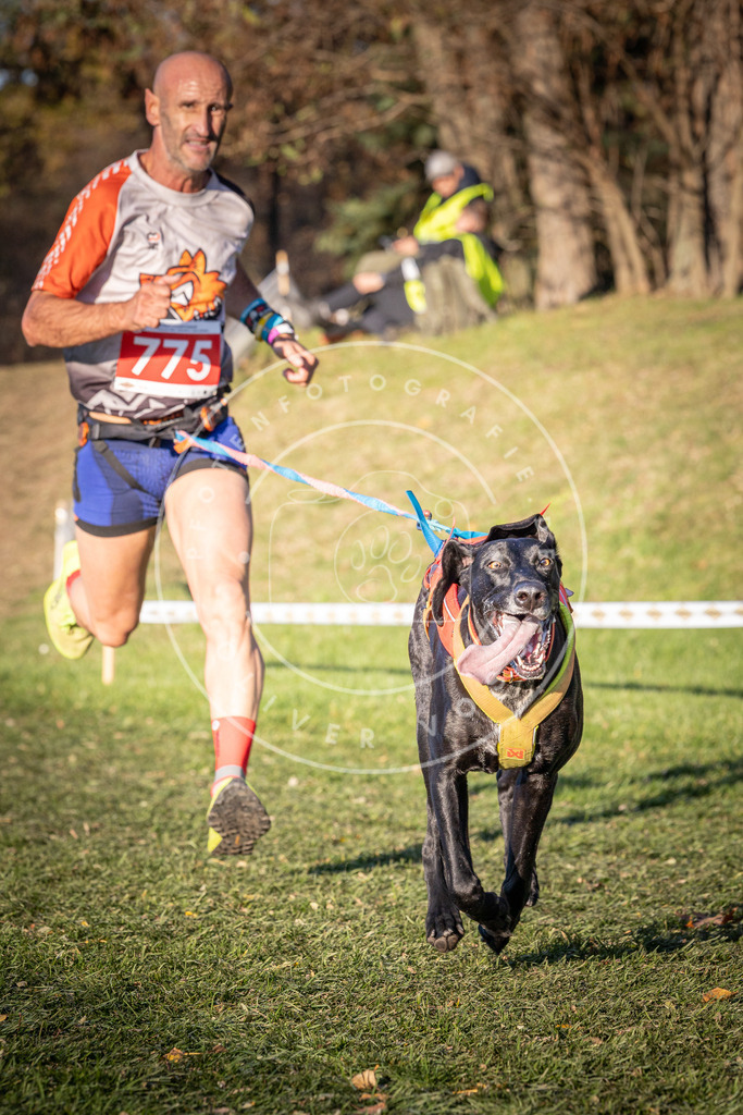CaniXpix_0L8A0140 | Hundefotografie, Tierfotograf, Pfotenfotografie, Fotoshooting Hund, Hunde Portrait, Hundesport, Hundeportraits, Heideshooting, Hunde, Sportfotograf, Hundefotograf, Turnierhundsport, THS,  - Realisiert mit Pictrs.com