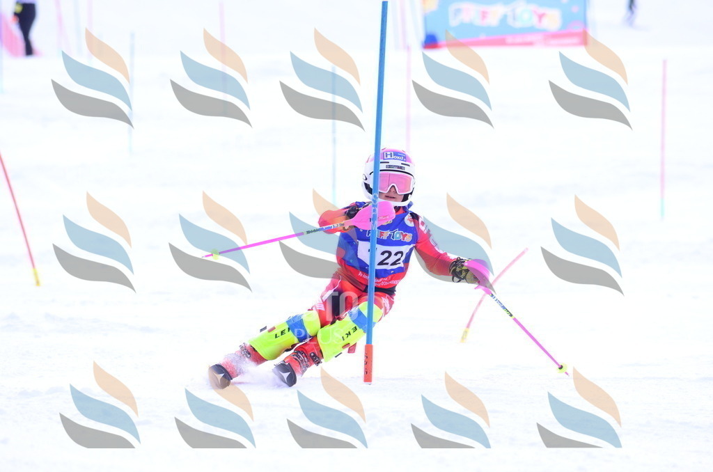 B1730 | holidayphoto