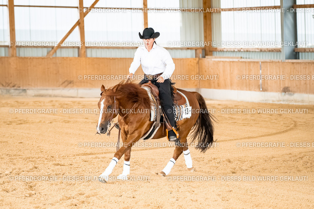 DSC02429 | Pferdegrafie