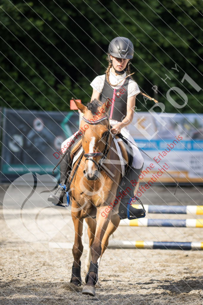IMG_5973 | Sport-, Event- und Tierfotos in Profiqualität. Einfach auswählen, bestellen und herunterladen. Dein Moment – perfekt festgehalten.