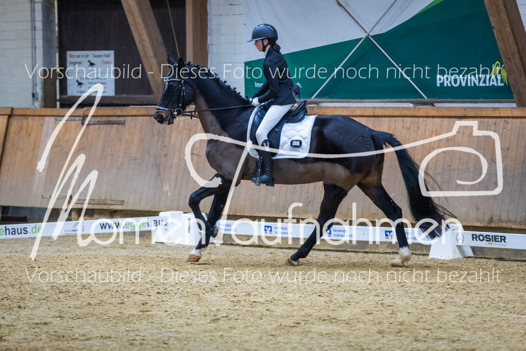 Sth-WBO25-EDr-102 | MomenTaufnahmen Pferdesportfotos