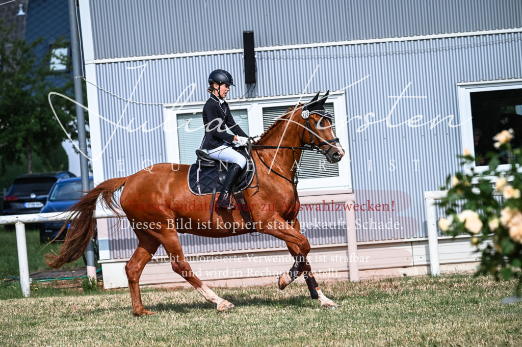 DSC_7947 | Pferde- und Turnierfotografie in Westsachsen. Pferdeportraits, Auftragszeichnungen und intuitive Kunst.