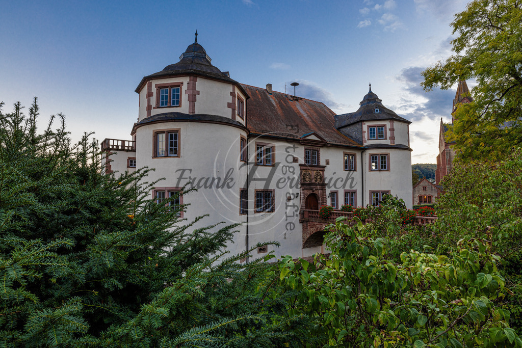Hardheim Odenwald Schloss | Frank Herberich Fotografie, Frank Herberich, Fotografie, Hochzeit, Portrait, St. Peter Ording, Ording, Westerhever, Nordsee, Frank Fotografie, Hardheim,  Odenwald,Walldürn, Band,Eventfotografie - Realisiert mit Pictrs.com