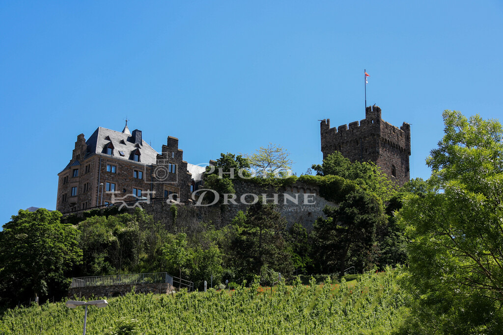 Bingen-9225 | Die Burg Klopp liegt inmitten von Weinbergen und ist weithin sichtbar. Ein Spaziergang auf die Burg führt durch den  Burggraben und wird mit einer tollen Aussicht und schönen Fotomotiven belohnt. - Realisiert mit Pictrs.com