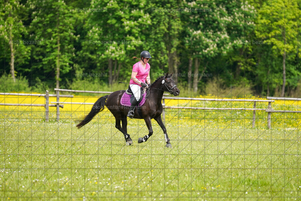 20230521-FAH06232 | Frühjahrsturnier, Landsberg am Lech, 2023, Reitclub Landsberg, Turnierbilder, Fotos Turnier Landsberg, Fotoagentur Herrmann, Turnierfotografen Bayern, Reitsport Fotograf, Pferde Fotograf